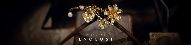EVOLUSI