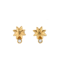 Twinkle Star Crystal Studs Gold Dip