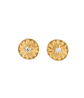Luminesce Studs Gold Dip