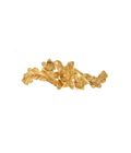 Blooming Jasmine Brooch Gold Dip